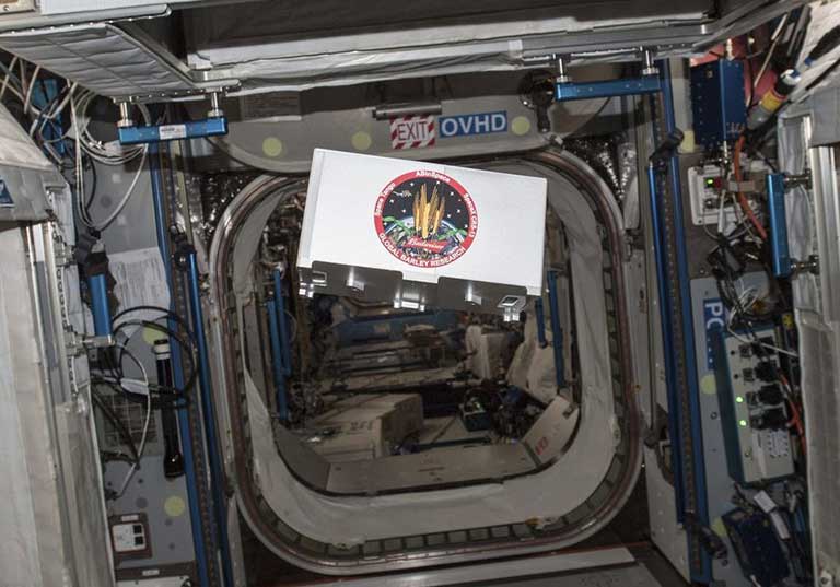 Budweiser-germination Budweiser's investigation examining barley germination onboard the International Space Station