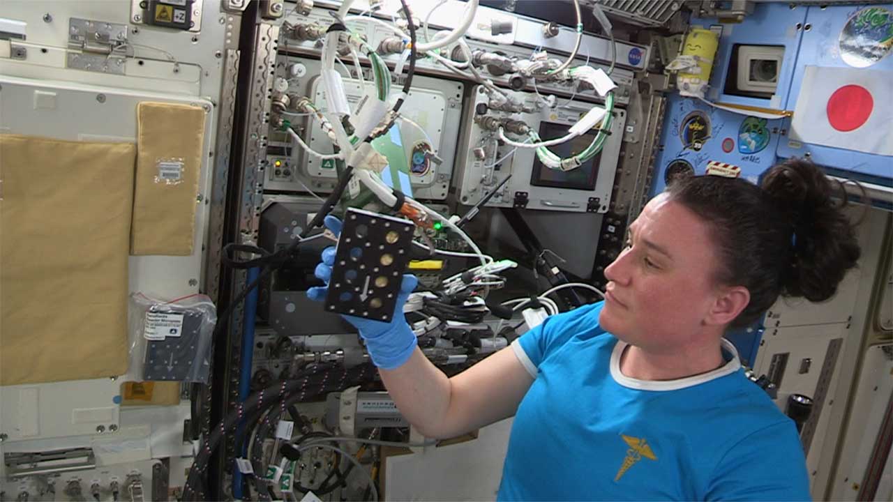 NASA astronaut Serena Maria Auñón-Chancellor works on the Tympanogen wound healing investigation onboard the ISS.