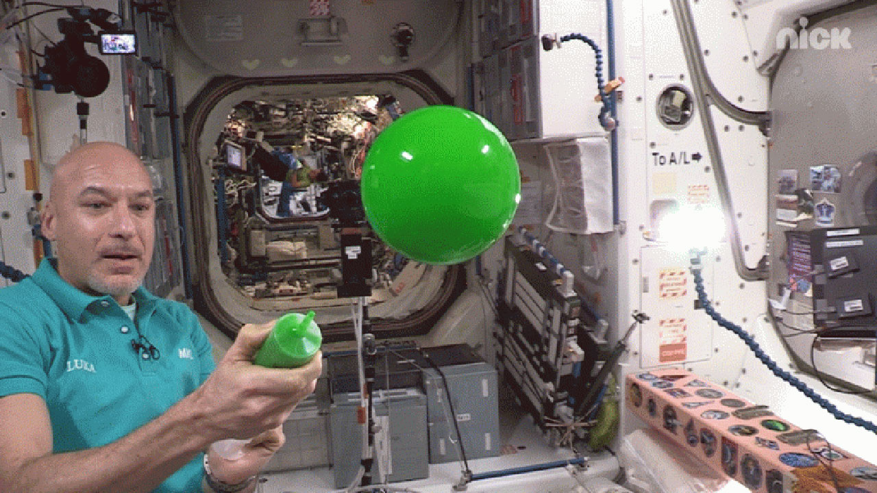 nick-slime-luca-slime-ball