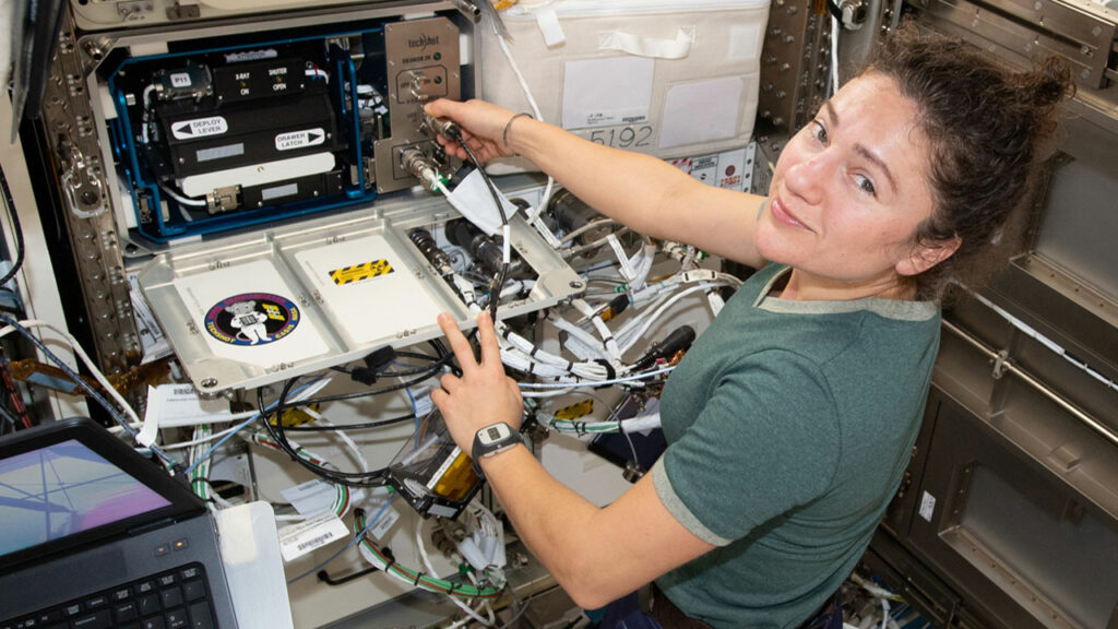 Mouse In Space Jackson Lab Mighty Mice in Space Win Award