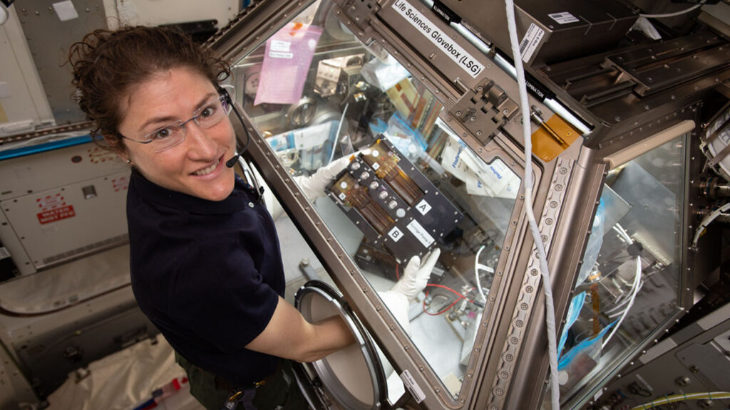 NASA astronaut Christina Koch works on the University of Washington kidney tissue chip investigation inside the Life Sciences Glovebox onboard the ISS.