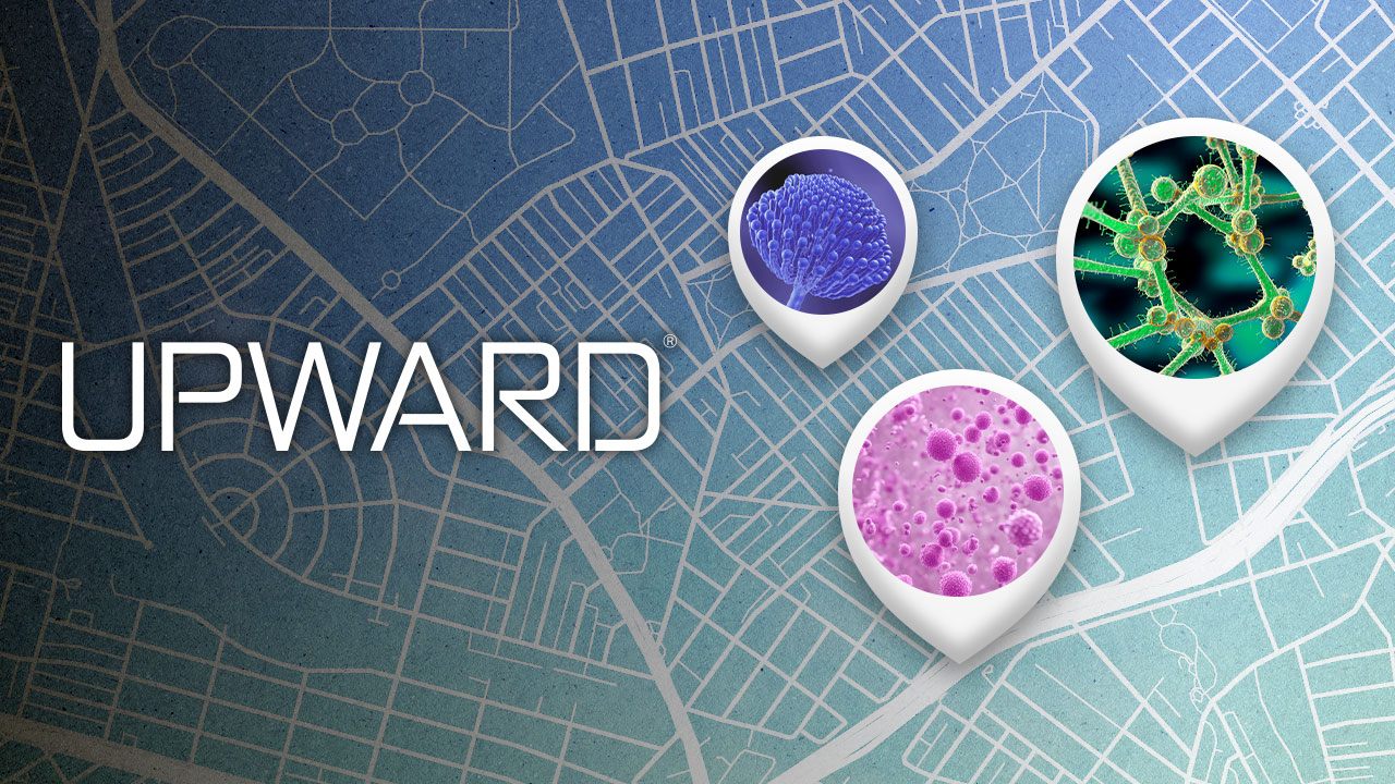 Upward Volume 8 Issue 3