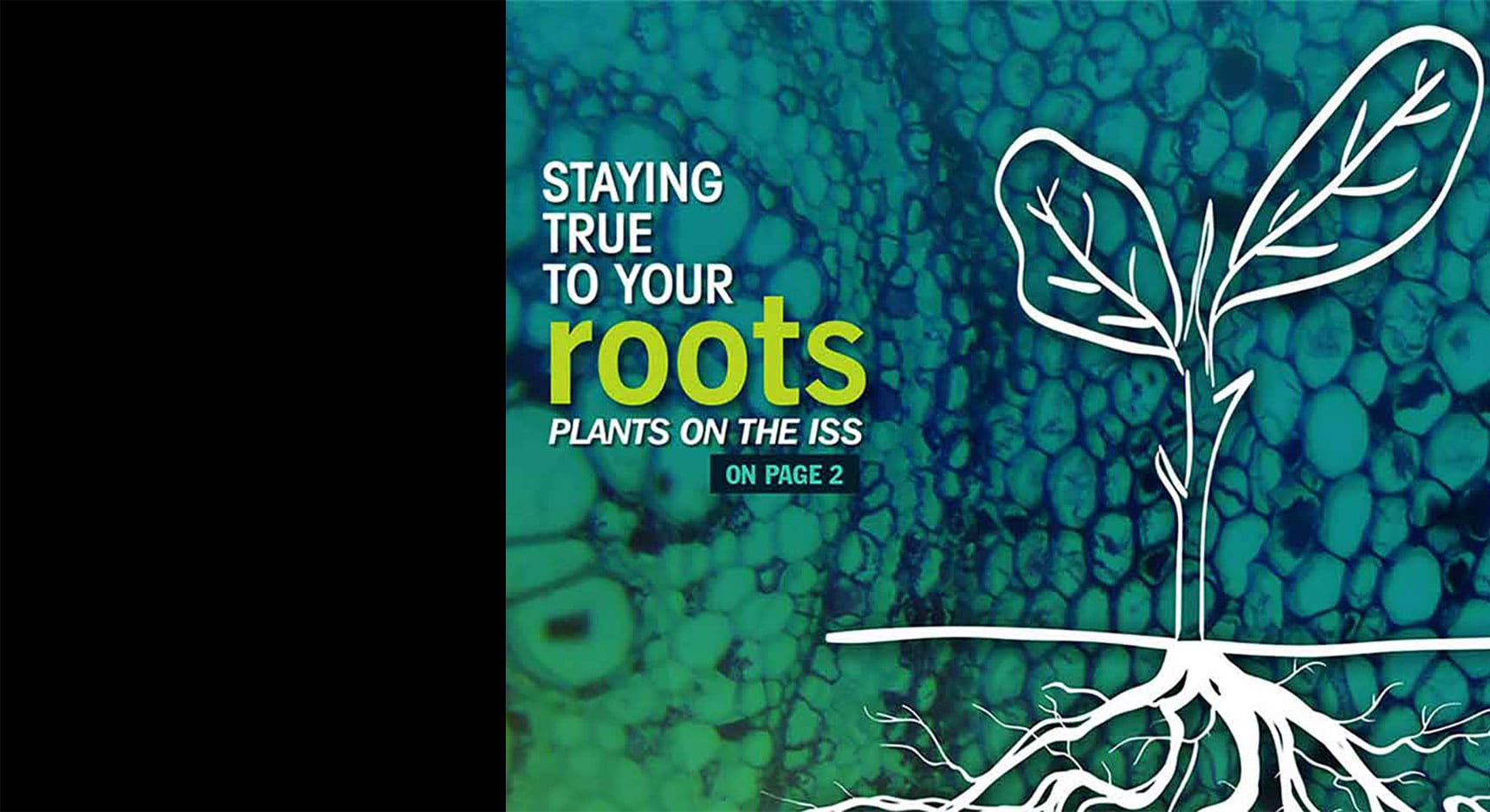 ISS HISTORY TIMELINE visual data 8