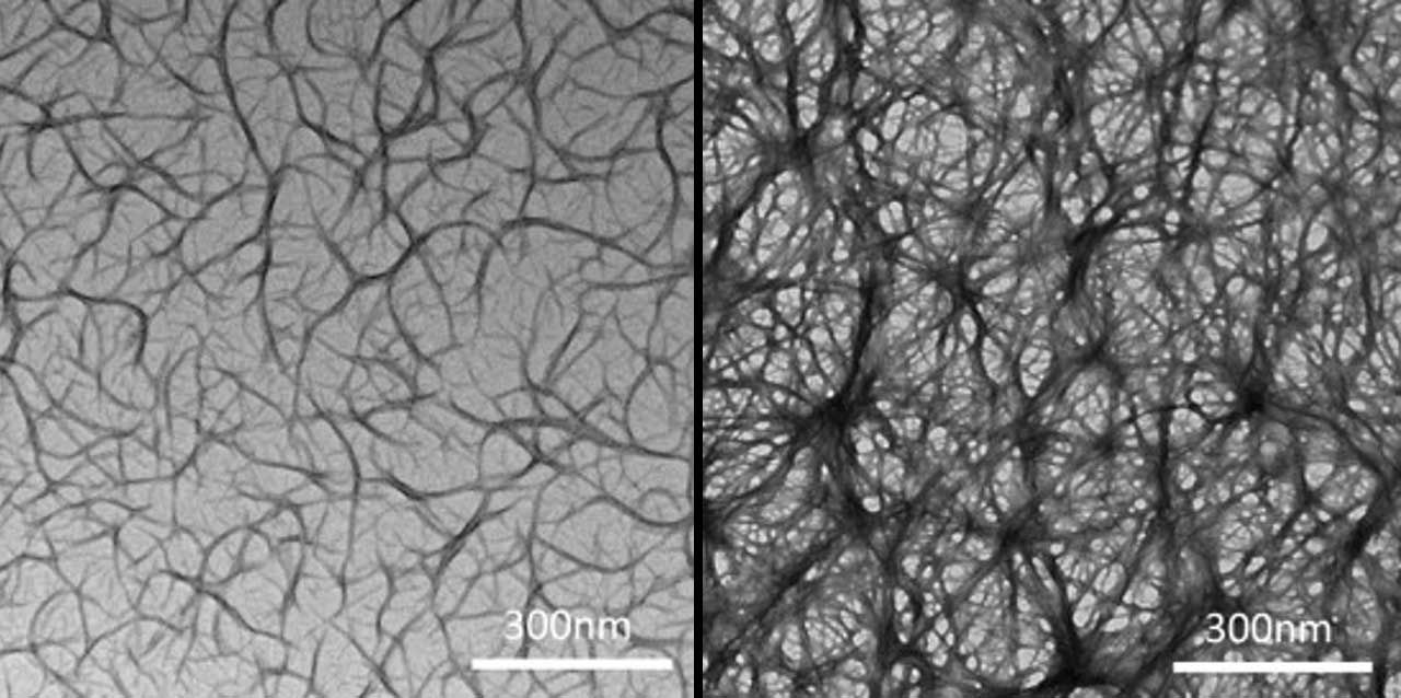 upward-81-janus-space-nano-matrix This image of the first Janus base nano-matrix produced in space (right) clearly shows the significant improvement in structure over the nano-matrix produced on the ground (left).
