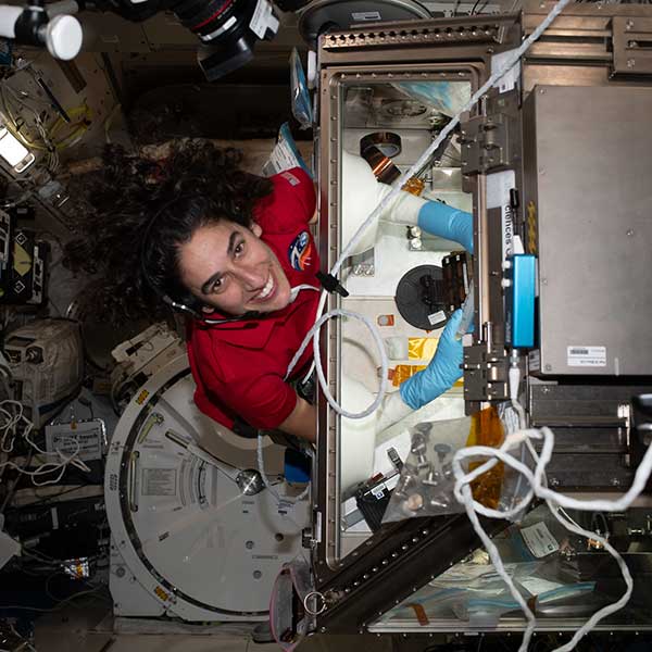 Astronaut Jasmin Moghbeli works on a liver cell investigation.