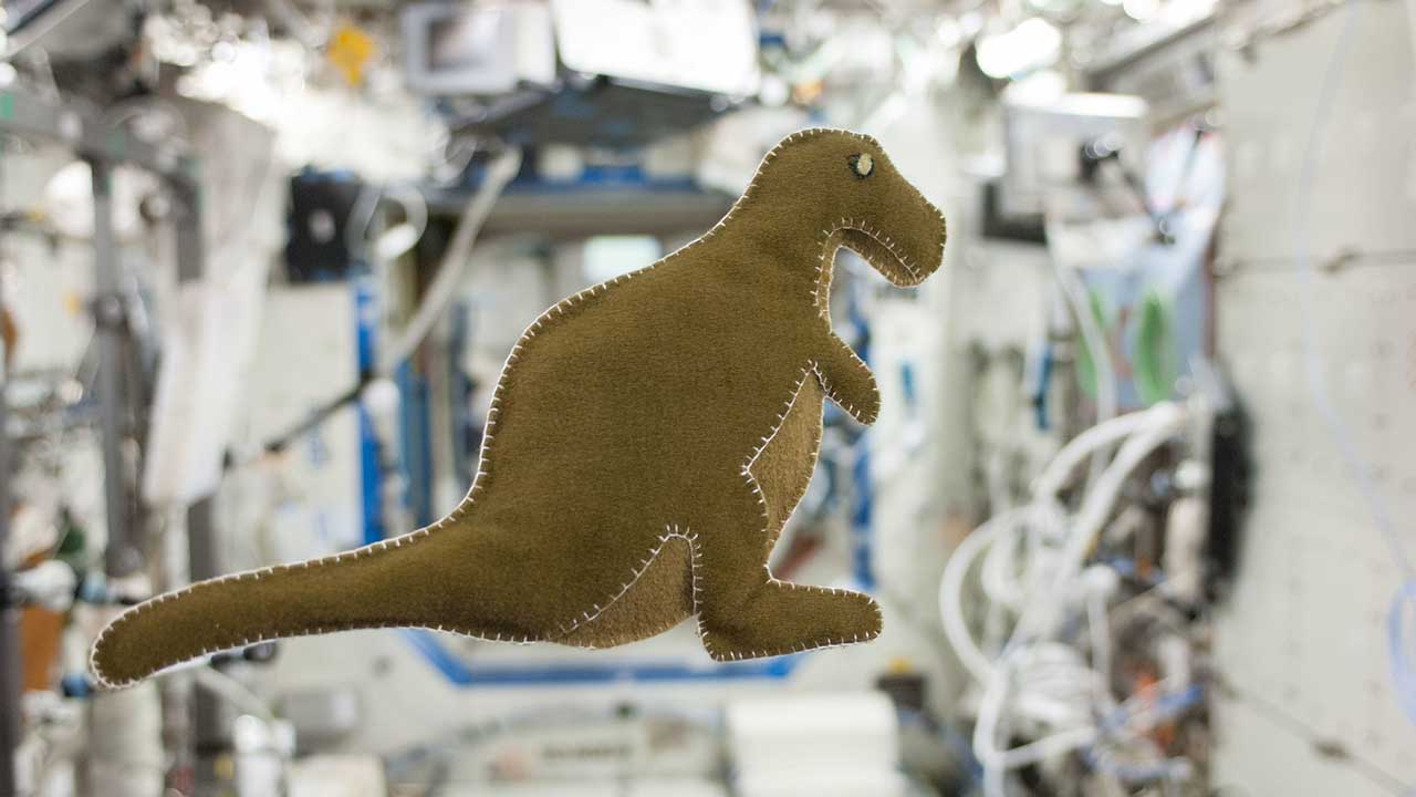 NASA astronaut Karen Nyberg, Expedition 37 flight engineer, made this stuffed dinosaur toy aboard the International Space Station, using scraps of food-packaging liners and a T-shirt.