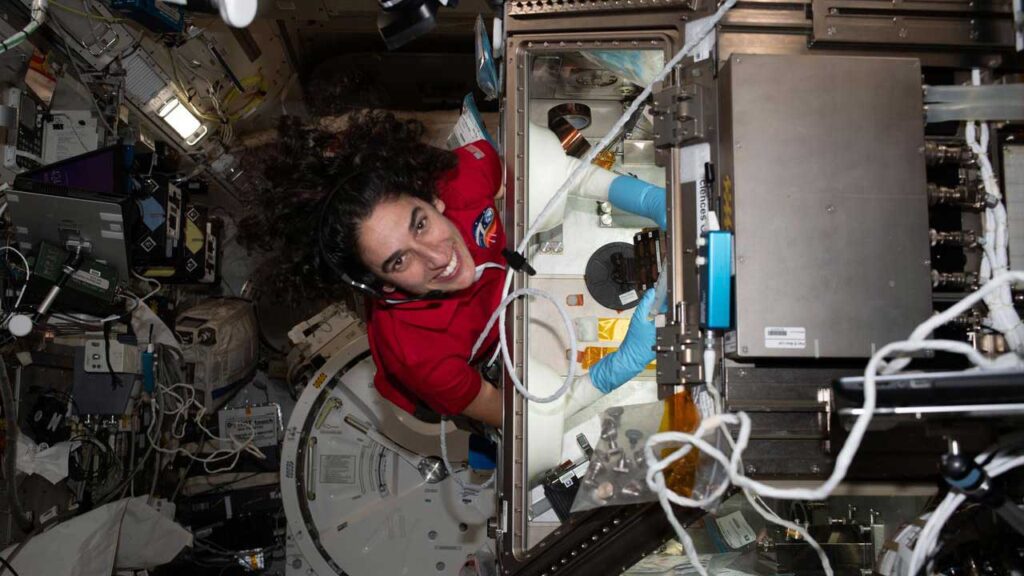 NASA astronaut and Expedition 70 Flight Engineer Jasmin Moghbeli processes liver stem cell samples inside the Kibo laboratory module's Life Science Glovebox aboard the International Space Station.