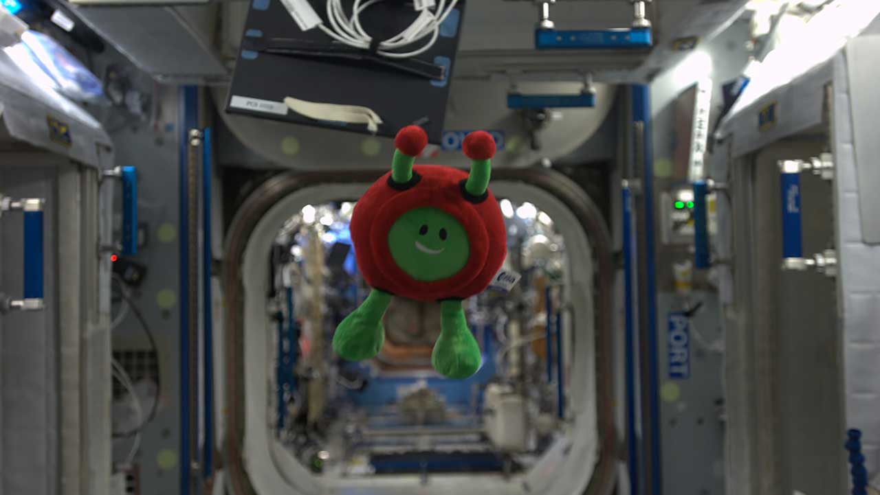 Paxi, the mascot for ESA's Education office