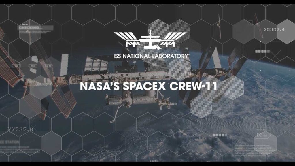 Image for NASA's SpaceX Crew-11 Science Overview