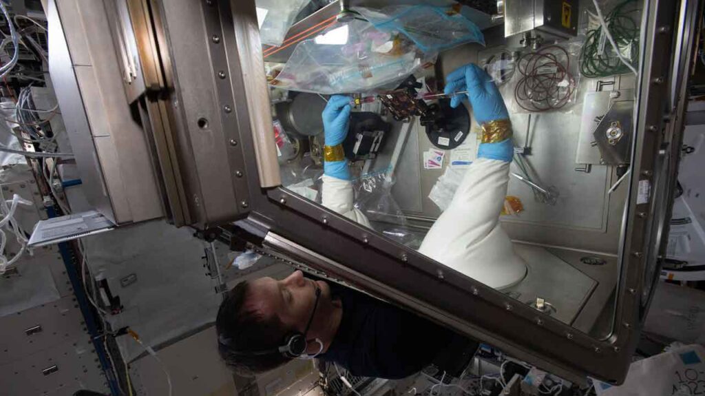 ESA astronaut and Expedition 65 Flight Engineer Thomas Pesquet works in the Life Sciences Glovebox aboard the ISS.