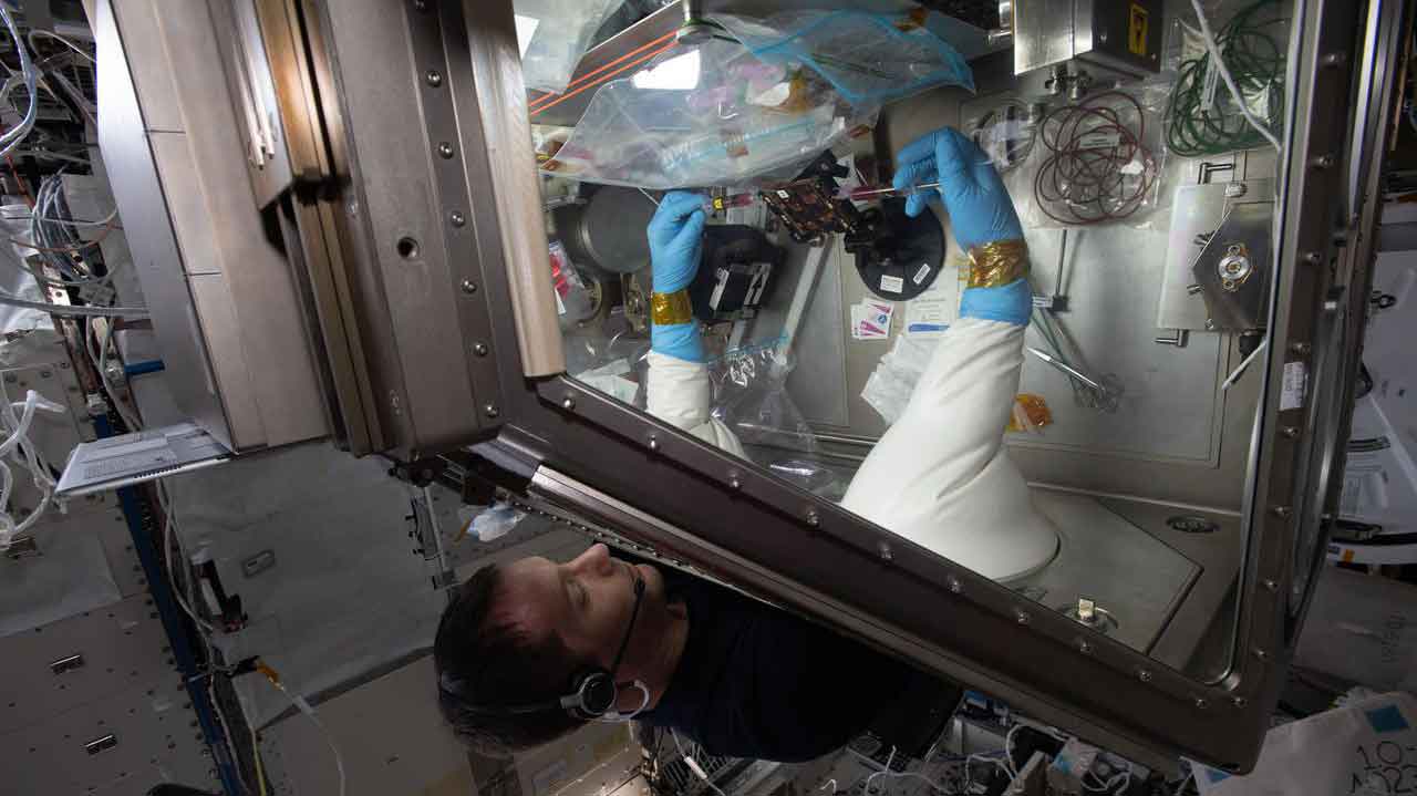 ESA astronaut and Expedition 65 Flight Engineer Thomas Pesquet works in the Life Sciences Glovebox aboard the ISS.