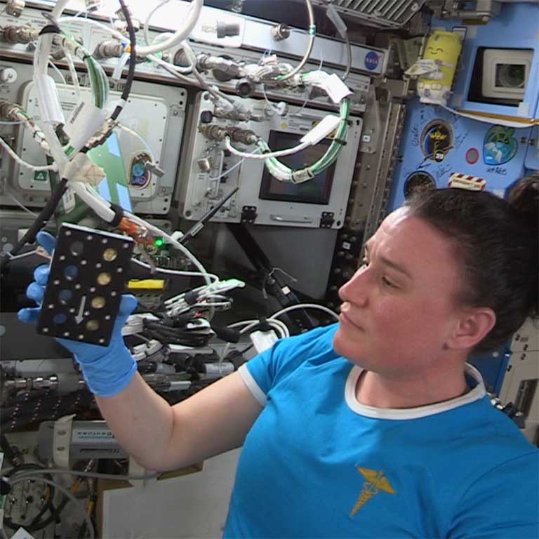 NASA National Aeronautics and Space Administration astronaut Serena Maria Auñón-Chancellor works on the Tympanogen wound healing investigation onboard the ISS.