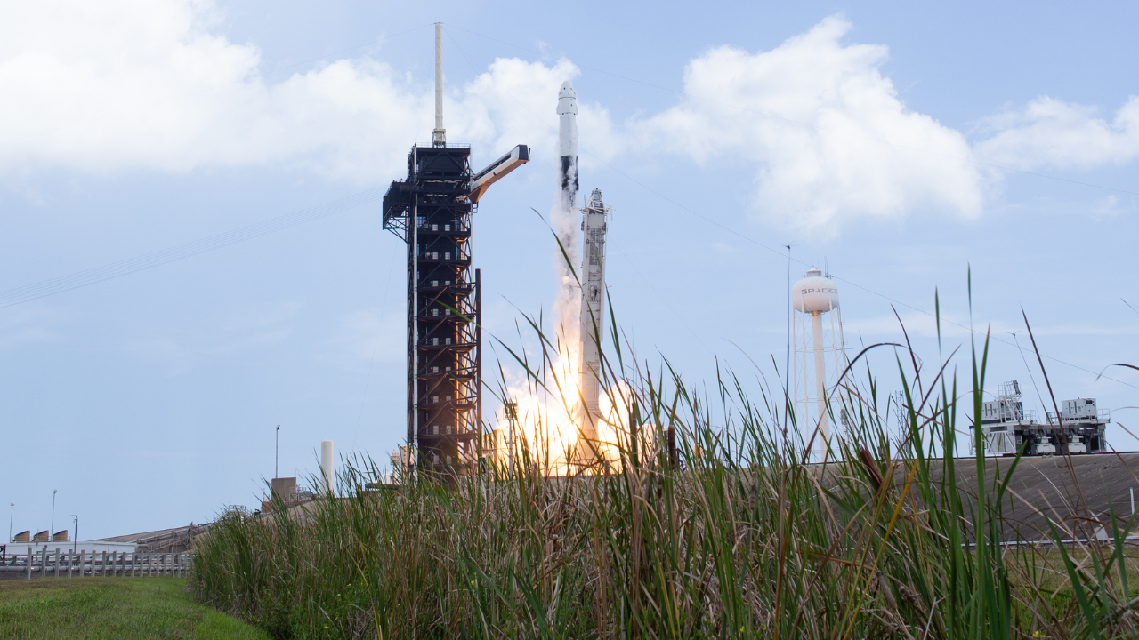 Crew 11 SpaceX launch