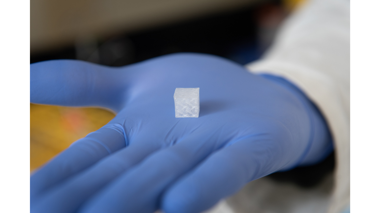 Shown here is a 3D bioprinted tissue construct used to replicate human tissue.