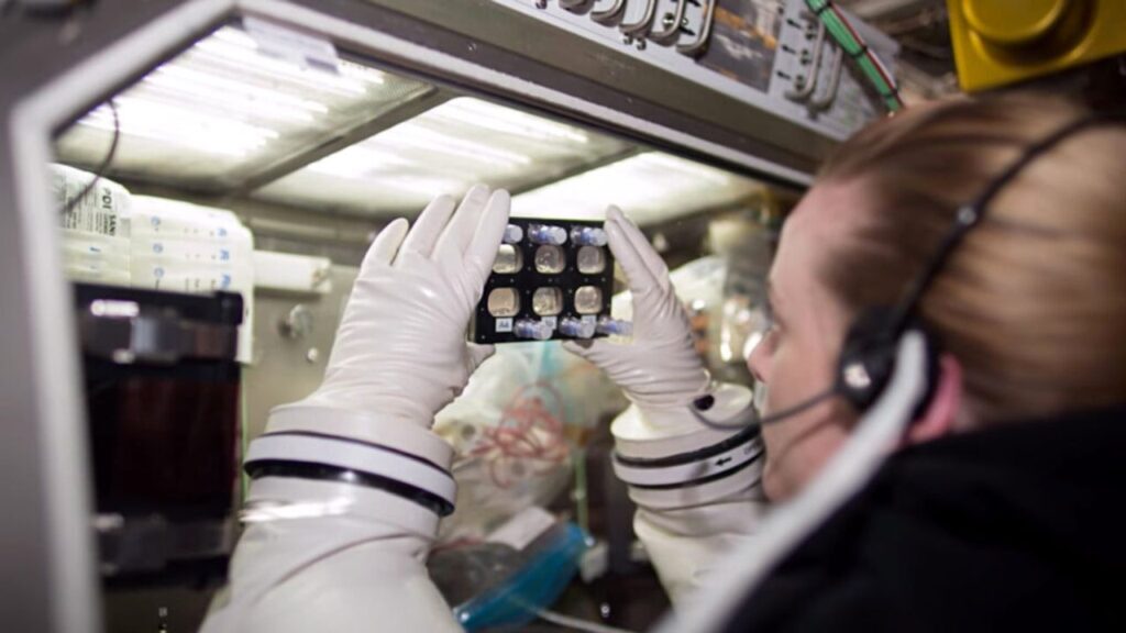 NASA astronaut Kate Rubins examines samples of heart cells using the Microgravity Glovebox on the ISS.