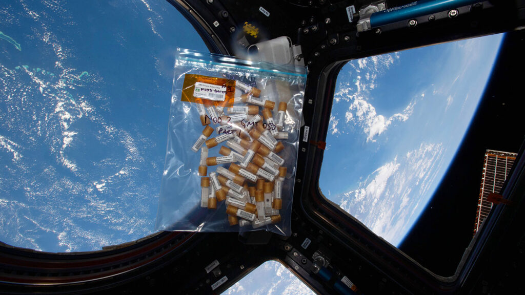 The sampling tools used to swab surfaces across the ISS for the study.