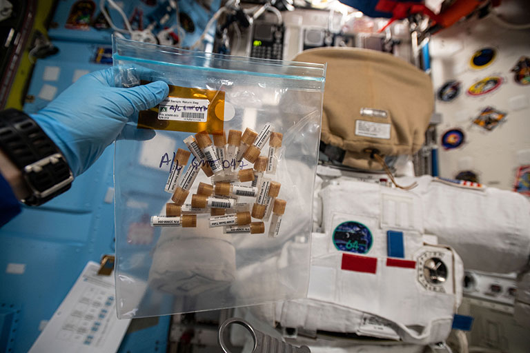 Close-up of the sampling tools used to swab surfaces across the ISS for the study.