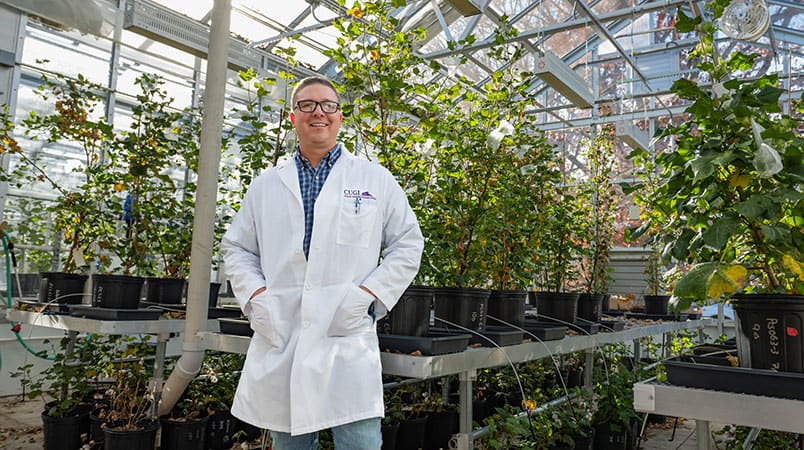 Chris Saski in a research greenhouse at Clemson University.