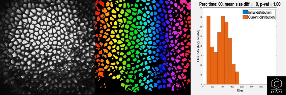 G-Space-Photo2 G-Space Photo 2