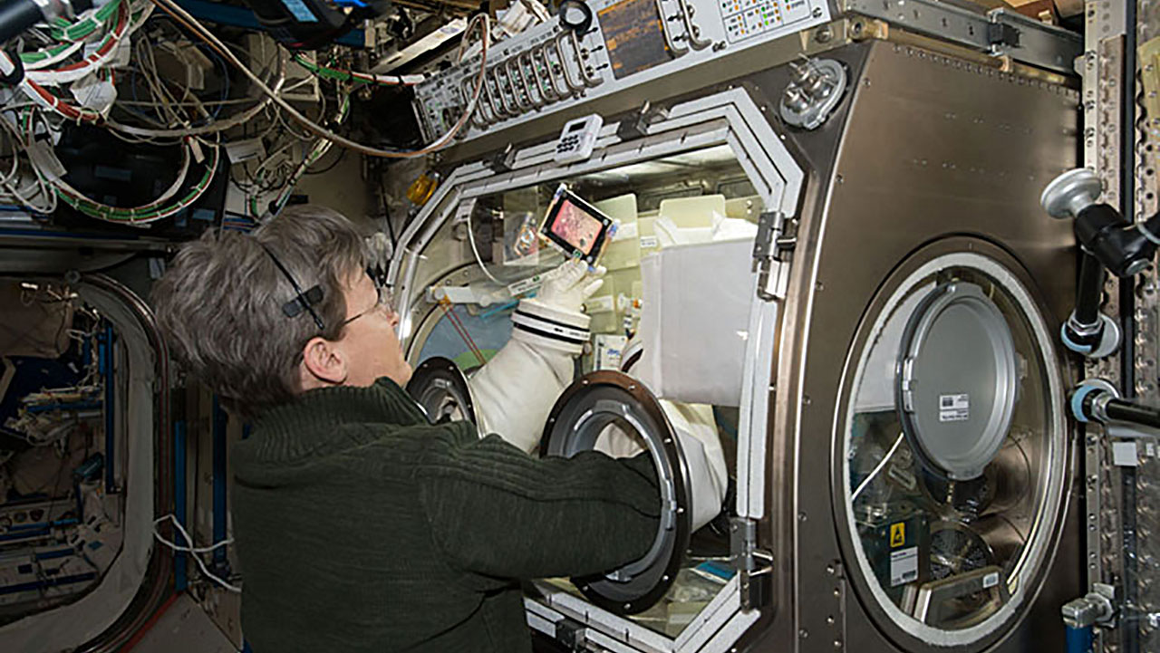 NASA astronaut Peggy Whitson during Microgravity Expanded Stem Cells (MESC) clean up, in the Microgravity Science Glovebox (MSG). Microgravity Expanded Stem Cells observes cell growth and morphological characteristics in microgravity and analyzes gene expression profiles of cells grown in microgravity.