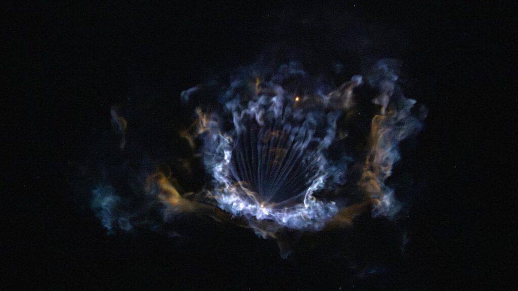 NASA's SpaceX Crew-12 launch