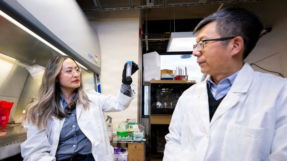 Tiffany Hennessa and Zheng Wang analyze a microbial sample
