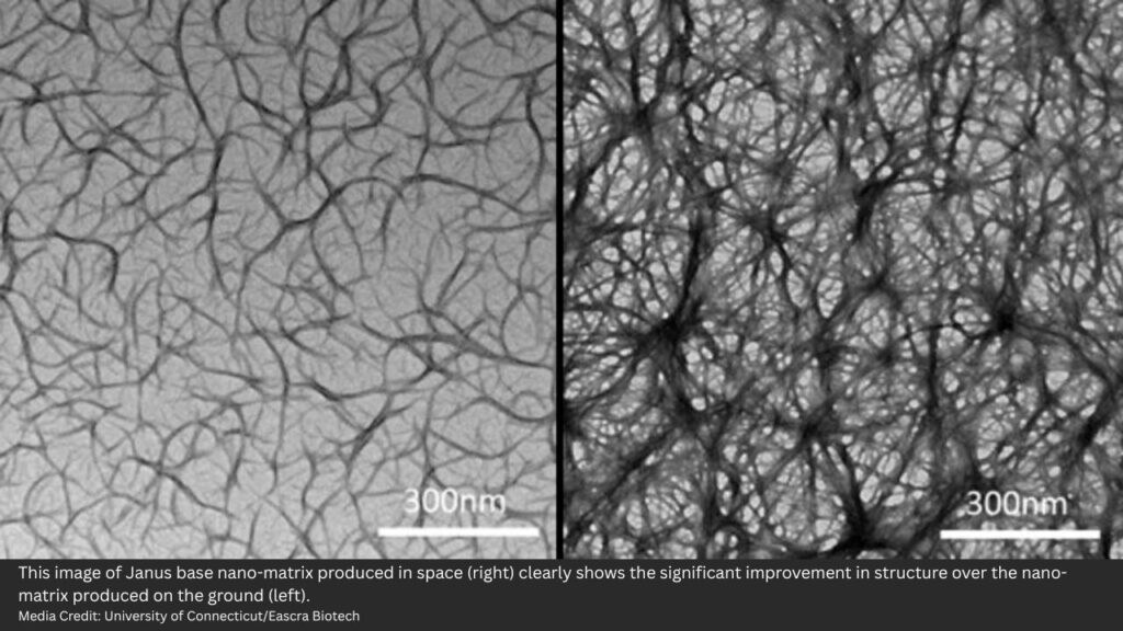 Eascra Janus Base Nano Matrix