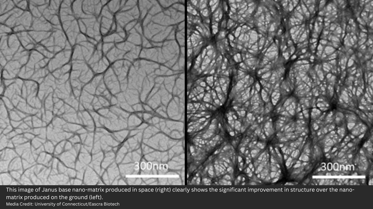 Eascra Janus Base Nano Matrix