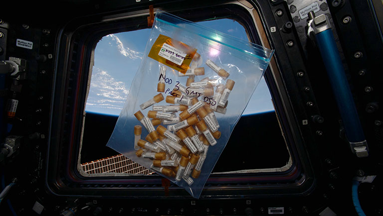 The sampling tools used to swab surfaces across the ISS for the study.