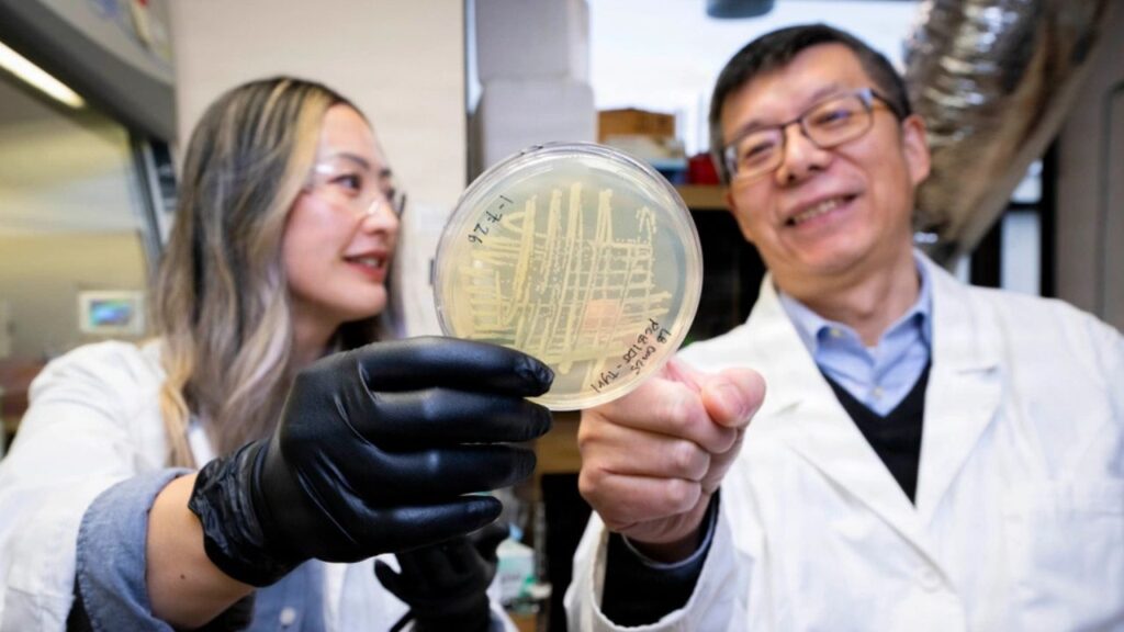 Tiffany Hennessa (left), U.S. Naval Research Laboratory (NRL) research biologist, and Zheng Wang, NRL research biologist, analyze a microbial sample in Washington, D.C. Scientists at NRL sent microbial samples to the ISS to investigate how microgravity affects microbial metabolism and biomaterial production.