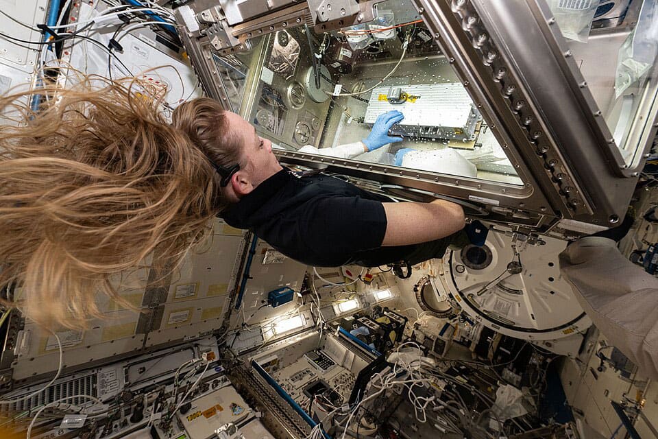 Upward-9_2-ELVIS-Nichole-Ayers NASA astronaut Nichole Ayers works with the ELVIS investigation at the Life Sciences Glovebox onboard the ISS.
