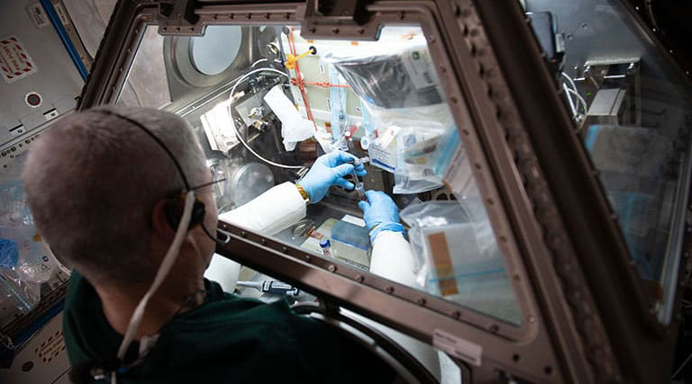 Upward-9_2-Sanofi-Celestial-Immunity-v2 NASA astronaut Mark Vande Hei works on the Celestial Immunity project in the Life Sciences Glovebox on the ISS.