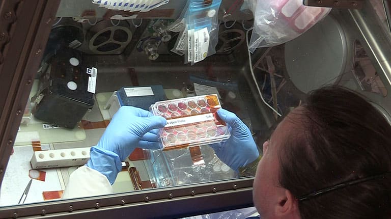 Upward-9_2-Sanofi-Megan-McArthur NASA astronaut Megan McArthur works on Sanofi's Celestial Immunity project on the ISS.