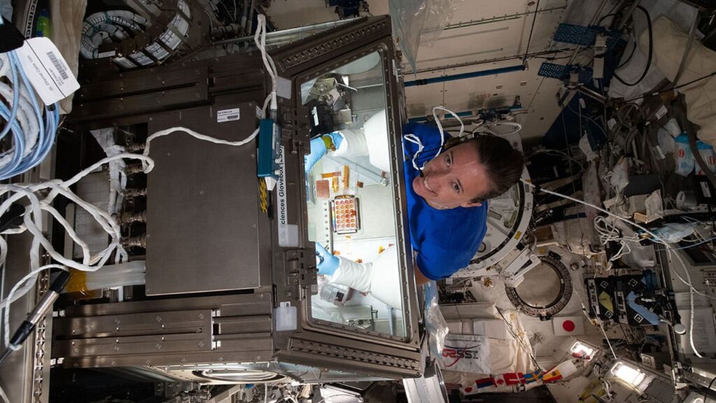 NASA astronaut Megan McArthur samples donor cells inside the Life Sciences Glovebox on the ISS for Sanofi's Celestial Immunity experiment.