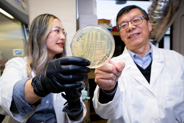 Zheng Wang and Tiffany Hennessa Tiffany Hennessa (left), U.S. Naval Research Laboratory (NRL) research biologist, and Zheng Wang, NRL research biologist, analyze a microbial sample in Washington, D.C. Scientists at NRL sent microbial samples to the ISS to investigate how microgravity affects microbial metabolism and biomaterial production.