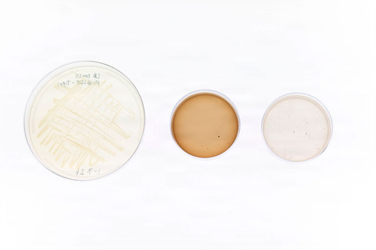 petri-dishes Microbial samples for the experiment sit on display in Washington, D.C. U.S. Navy